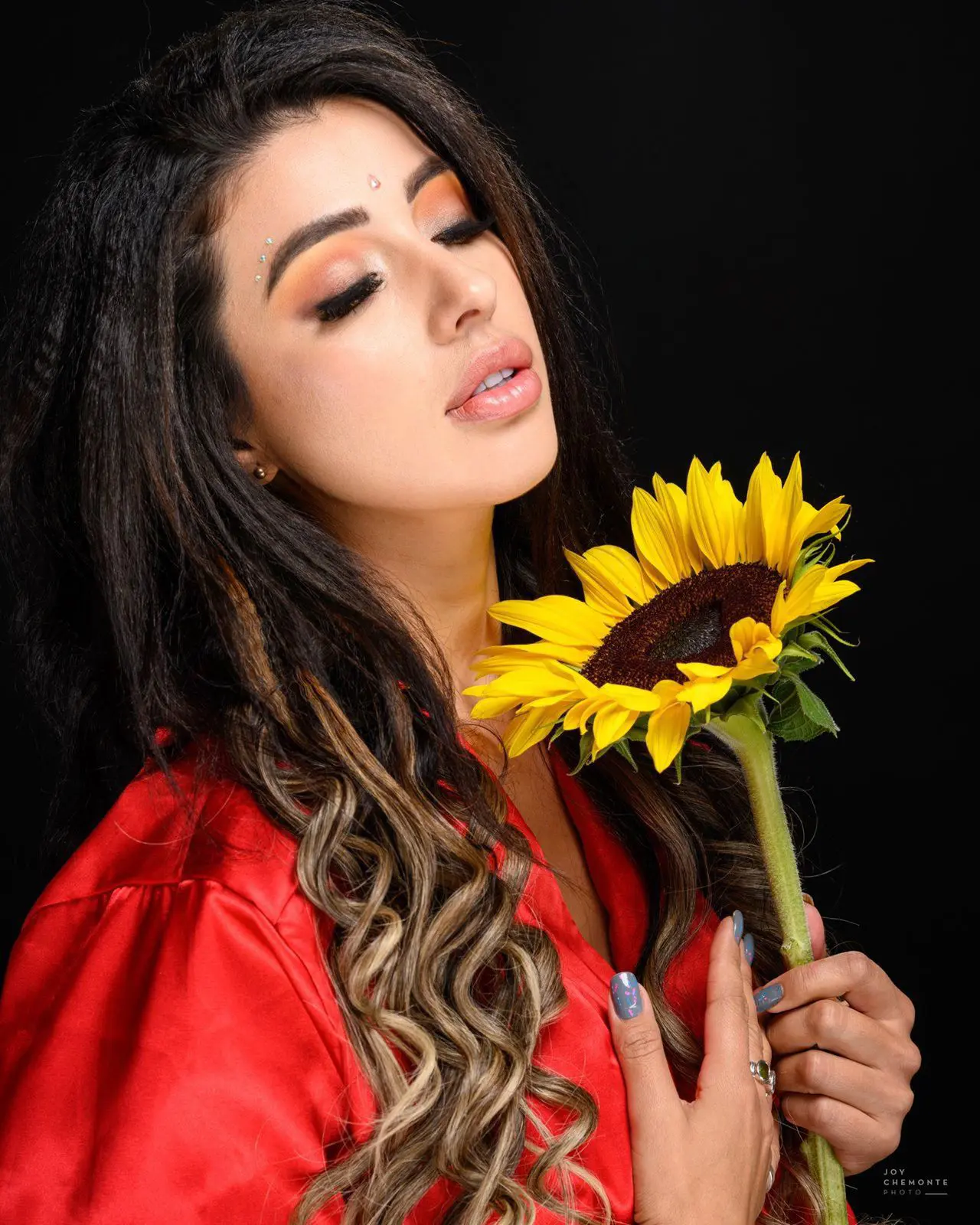 Portfolio Leydy T.